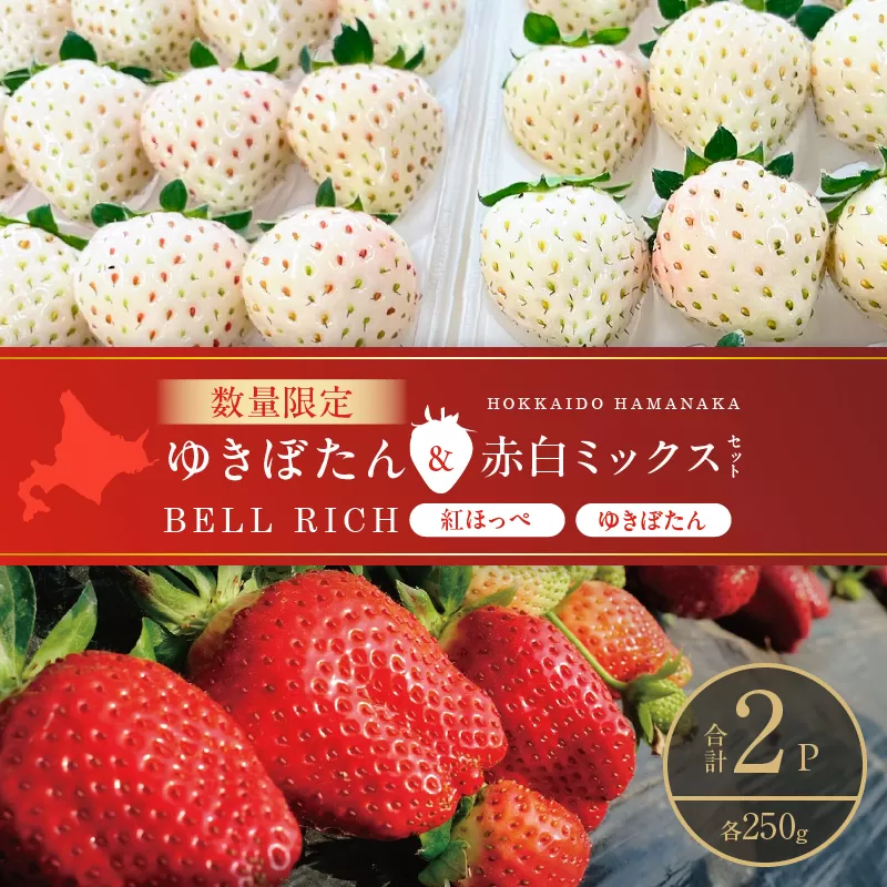 《数量限定》白いちご”ゆきぼたん”＆赤白ミックスセット(合計2パック) BELL RICH_H0049-102