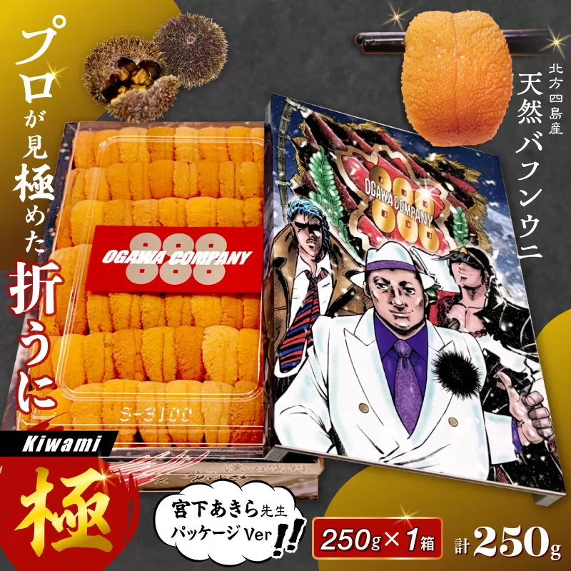 ≪プロ厳選≫最高級折うに(極)宮下あきら先生パッケージVer計250g うに ウニ 雲丹 折うに 海鮮 海産物 北海道 浜中町 ふるさと納税 人気_H0014-105