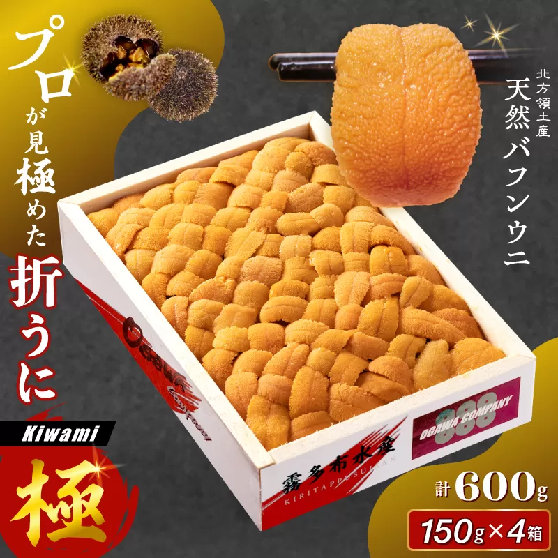 ≪プロ厳選≫最高級折うに(極)計600g うに ウニ 雲丹 折うに 海鮮 海産物 北海道 浜中町 ふるさと納税 人気_H0014-113