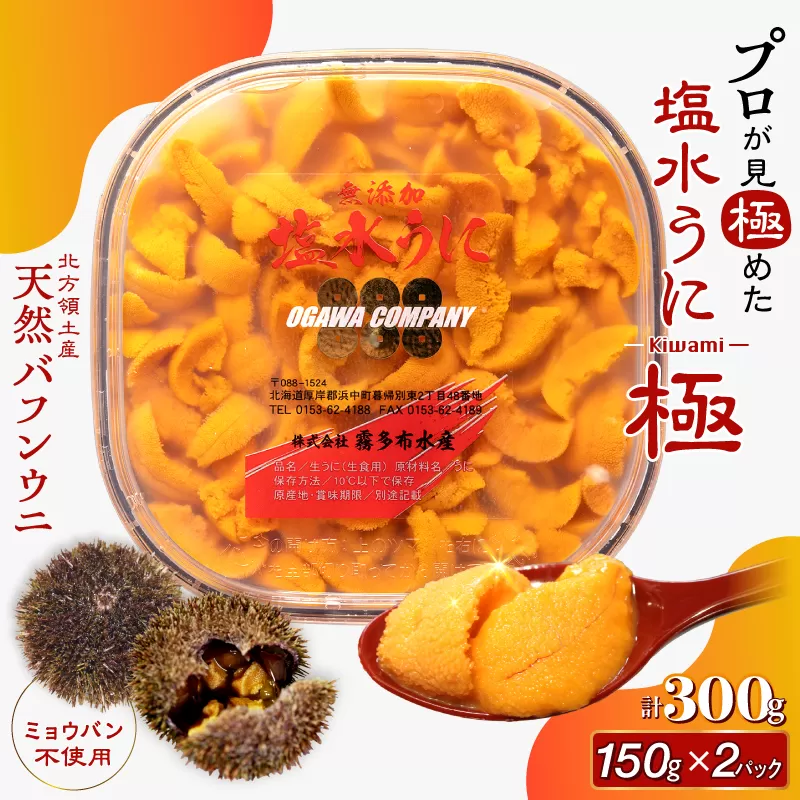 ≪プロ厳選≫最高級塩水うに(極)計300g うに ウニ 雲丹 塩水うに 海鮮 海産物 北海道 浜中町 ふるさと納税 人気_H0014-115