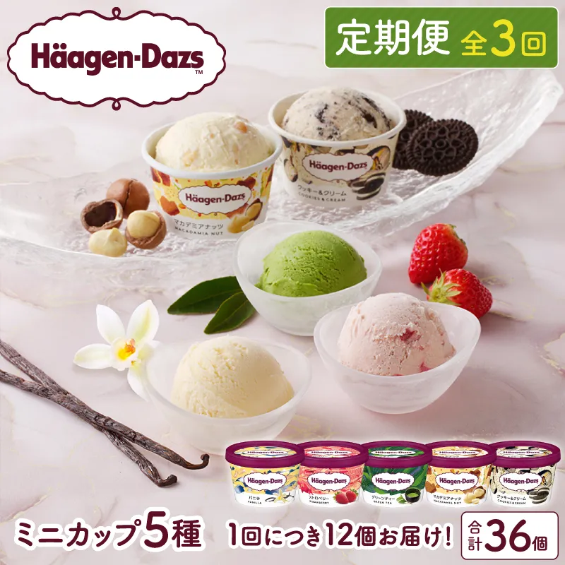 ＜全3回・連続＞お試し定期便！ミニカップ セット_H0016-157