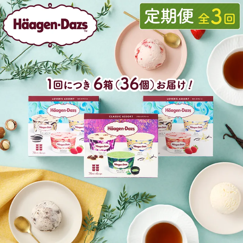 ＜全3回・連続＞お試し定期便！アソートボックスセット_H0016-152