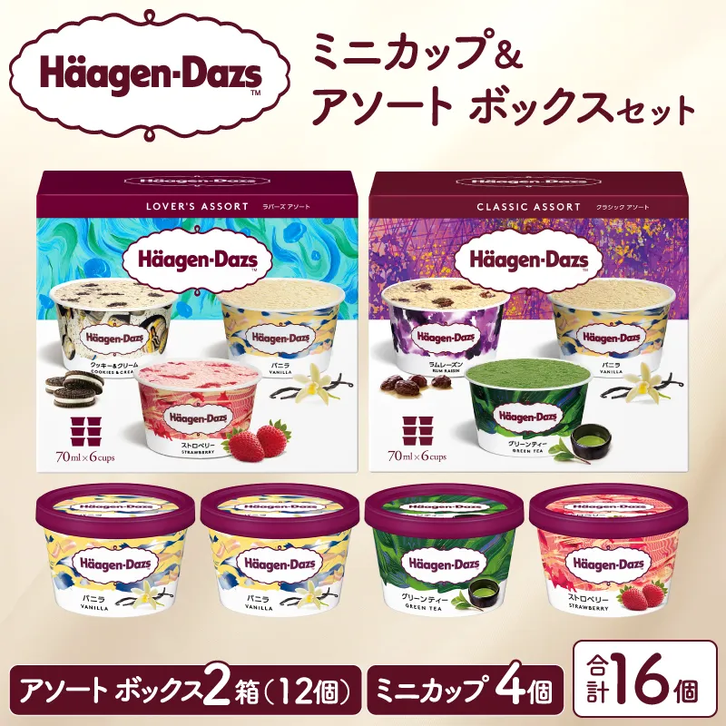 ハーゲンダッツ バラエティセット(アソート＆ミニカップ)_H0026-102