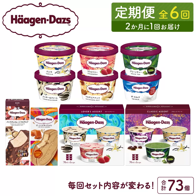 ＜全6回・隔月＞食べ比べ定期便！ハーゲンダッツ人気セット_H0026-022