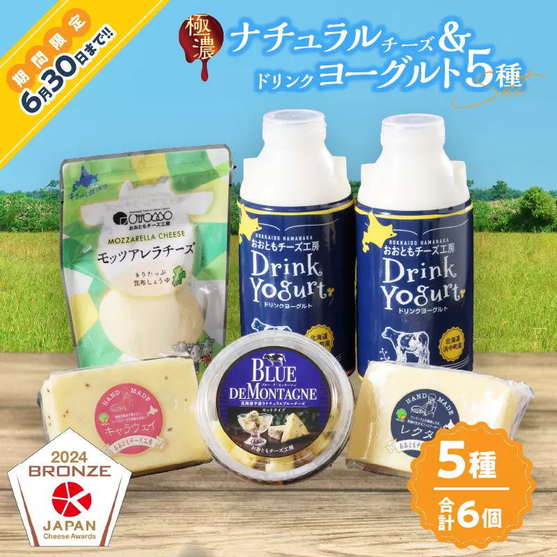 ≪期間限定≫【おおともチーズ工房】《人気の乳製品セット!!》ナチュラルチーズ＆ドリンクヨーグルト5種セット_H0003-038