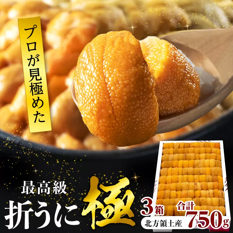 ≪プロ厳選≫最高級折うに(極)計750g うに ウニ 雲丹 折うに 海鮮 海産物 北海道 浜中町 ふるさと納税 人気_H0014-009