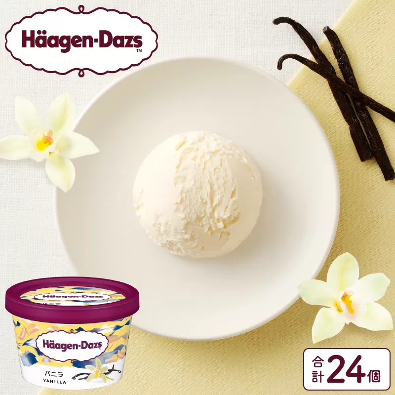 ハーゲンダッツ『ミニカップ24個セット(バニラ味)』アイスクリーム アイス スイーツ デザート_H0016-021