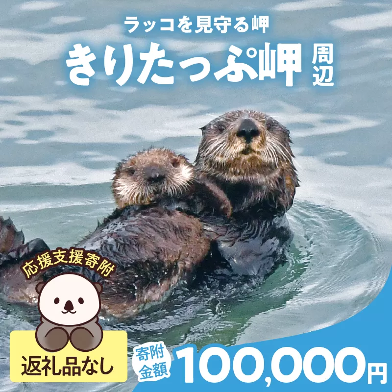 ラッコを見守る岬「きりたっぷ岬」周辺の環境整備　100000円分 返礼品なし_H0028-015