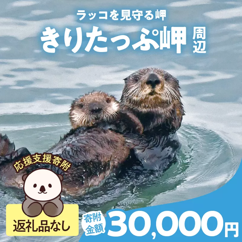 ラッコを見守る岬「きりたっぷ岬」周辺の環境整備　30000円分 返礼品なし_H0028-013