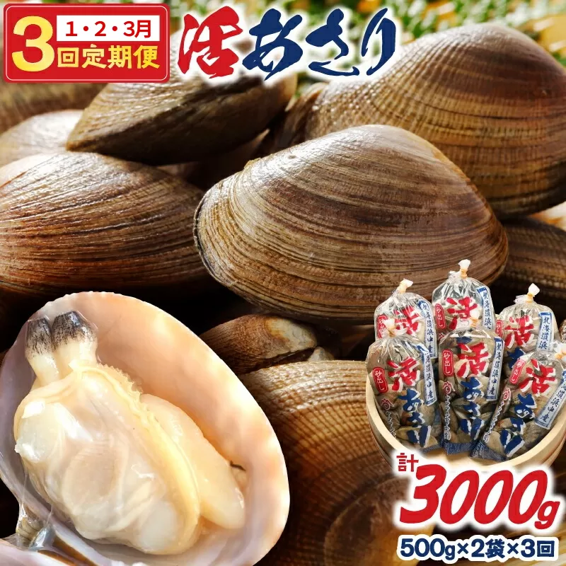 ＜連続1月・2月・3月お届け＞《先行予約・期間限定》浜中町産活あさり定期便　(500g×2袋×3回)総重量3kg_H0023-008
