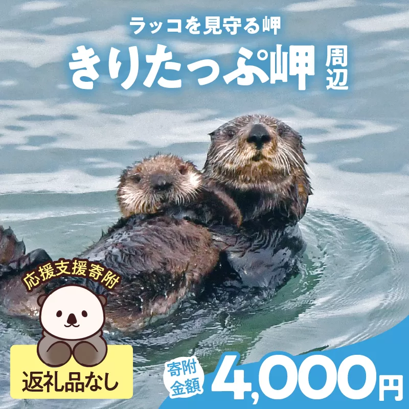 ラッコを見守る岬「きりたっぷ岬」周辺の環境整備　4000円分 返礼品なし_H0028-010