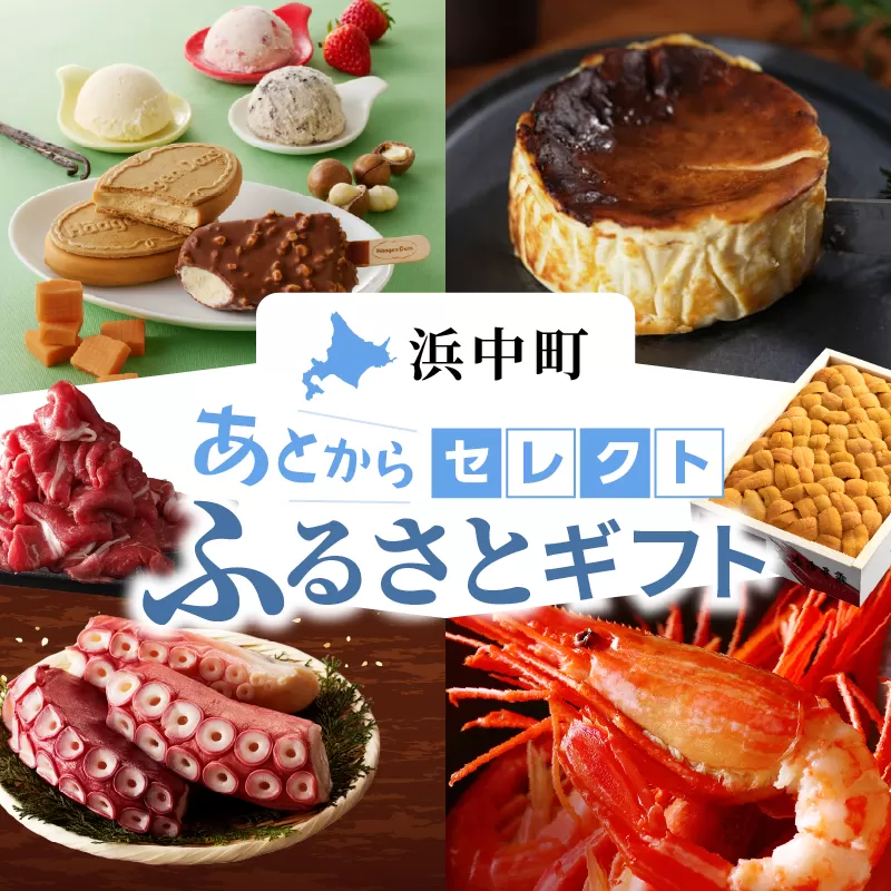 あとからセレクト【ふるさとギフト】 寄附4万円相当_H-gift004