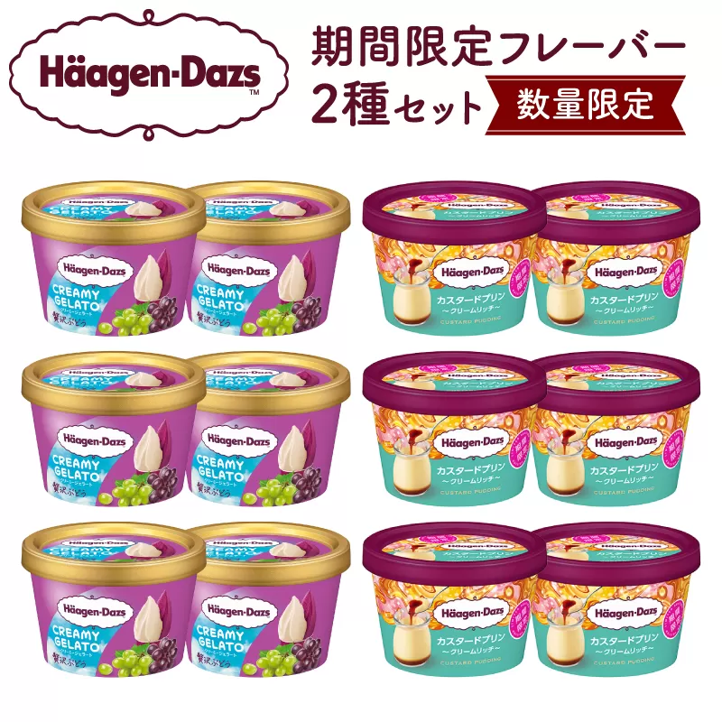 【数量限定】ハーゲンダッツ アイスクリーム ミニカップ 12個 （CREAMY GELATO 贅沢ぶどう＆カスタードプリン）アイス スイーツ デザート_H0016-168