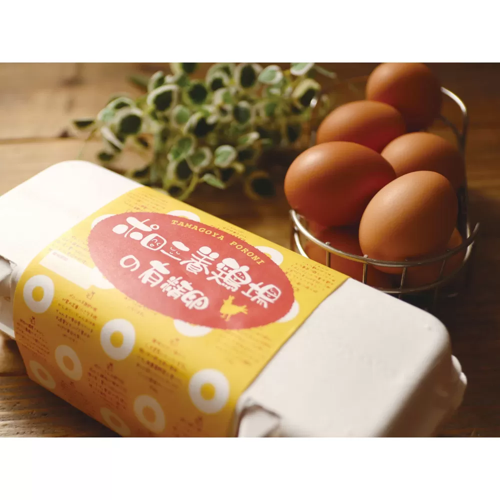 【6カ月定期便】有精卵 計60個（10個×6パック）【 たまご ポロニ養鶏場 デザート ケーキ お菓子 標茶町 北海道 】