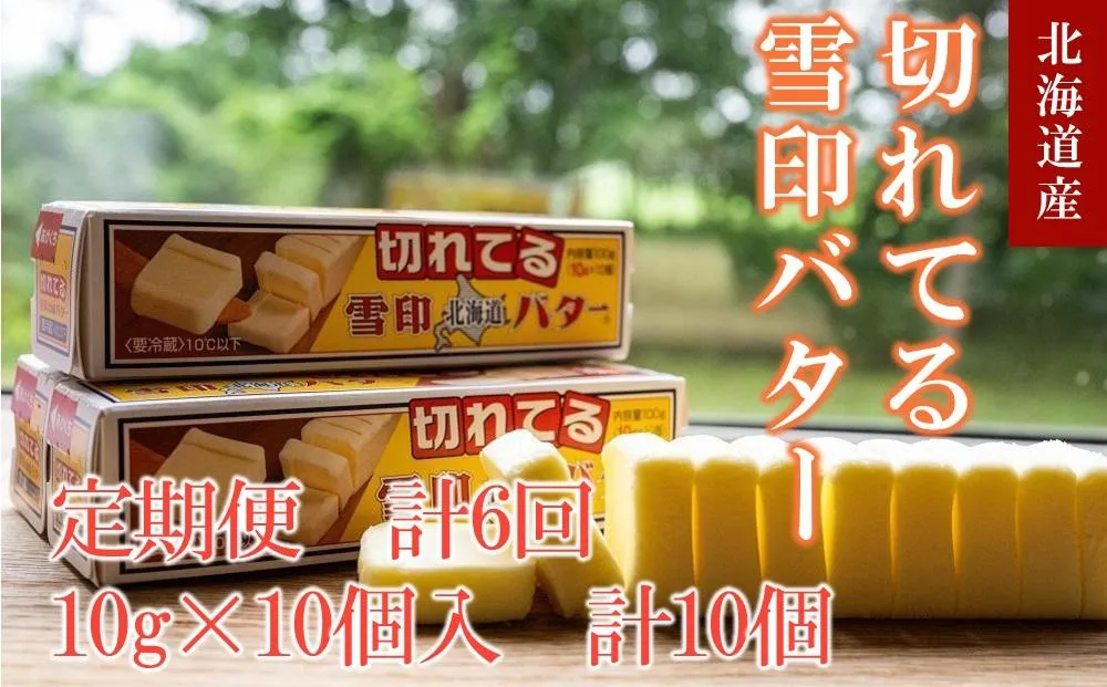 【6か月 定期便】切れてる 雪印 北海道 バター（10g×10個入）×10個【 乳製品 バター 雪印 朝食 ギフト　料理用 キャンプ 標茶町 北海道 】