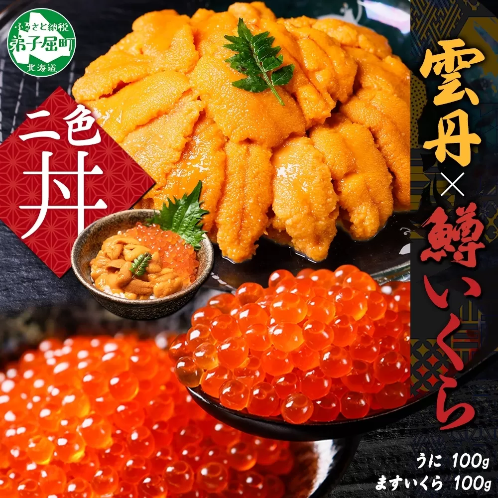 3404. うに チリ産 冷凍 100g 鱒いくら醤油漬け 100g セット ウニ 雲丹 ますいくら 鱒 マス イクラ いくら いくら醤油漬け 海鮮 海鮮丼 送料無料 北海道 弟子屈町