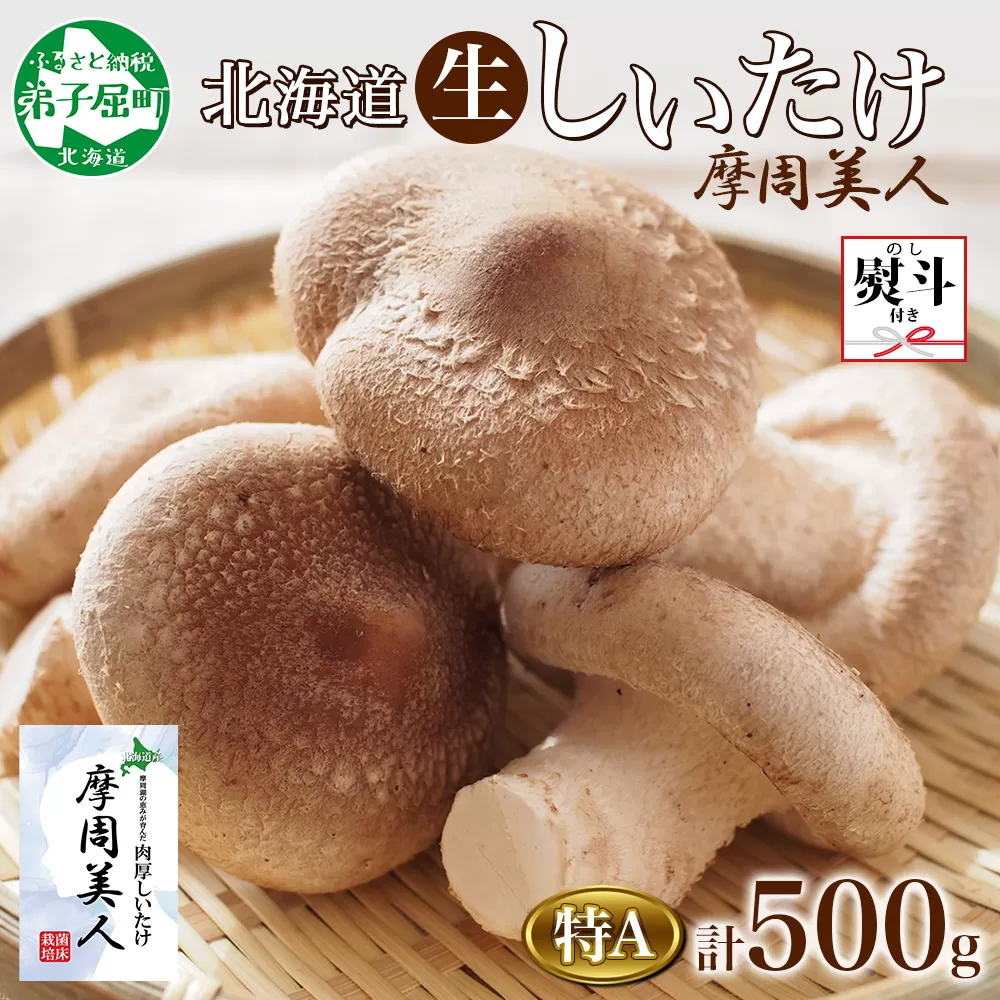 1805. 無地熨斗 しいたけ 特A 秀品 2パック 500g 摩周美人 シイタケ 椎茸 生しいたけ きのこ キノコ 菌床栽培 肉厚 熨斗 のし 名入れ不可 送料無料 北海道 弟子屈町 5000円