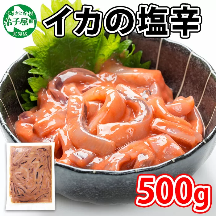 3163. いかの塩辛 500g いか イカ 烏賊 おつまみ 魚介 海鮮 送料無料 北海道 弟子屈町