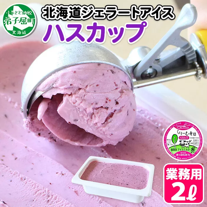 607.アイスクリーム ハスカップ ジェラート 業務用 2リットル 2L アイス 大容量 手作り 北海道 弟子屈町
