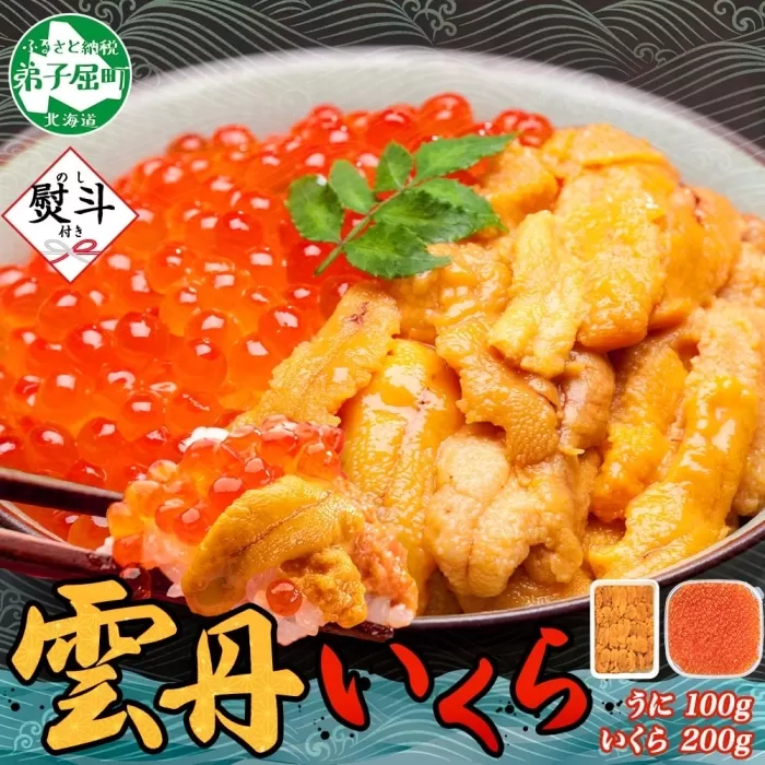 3403.  無地熨斗 うに 100g いくら醤油漬け 200g ウニ チリ産 冷凍 いくら 二色丼 雲丹 イクラ 海鮮 海鮮丼 うに丼 いくら丼 いくら醤油漬け のし 名入れ不可 送料無料 北海道 弟子屈町
