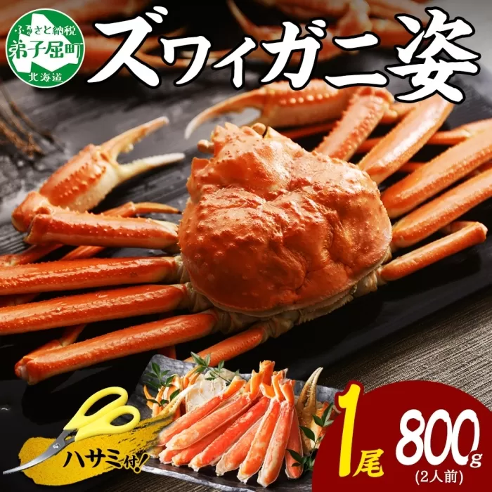 3182. カニ ズワイガニ 姿 800g かに カニ 蟹 蟹姿 ズワイ蟹 ずわいがに ずわい蟹 ボイルズワイガニ ギフト すがた 丸ごと 送料無料 北海道 弟子屈町