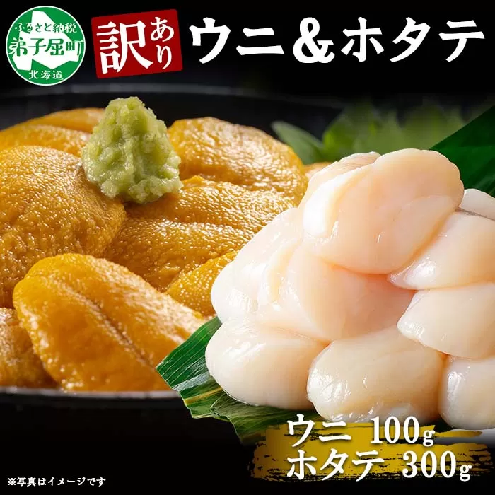 3255.訳あり うに チリ産 冷凍 ほたて ウニ 100g 帆立 300g 雲丹 不揃い うに わけ あり 海鮮 丼 海鮮丼 刺身 うに丼  自宅用 北海道 送料無料 北海道 弟子屈町 