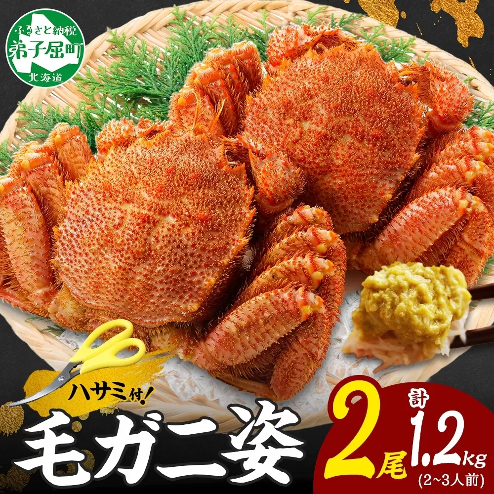 2455.毛蟹 2尾 計1.2kg前後 食べ方ガイド・専用ハサミ付 カニ かに 蟹 海鮮 ボイル 送料無料 北海道 弟子屈町