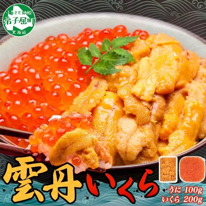 3366.  うに 100g いくら醤油漬け 200g ウニ チリ産 冷凍 いくら 二色丼 雲丹 イクラ 海鮮 海鮮丼 うに丼 いくら丼 いくら醤油漬け 送料無料 北海道 弟子屈町