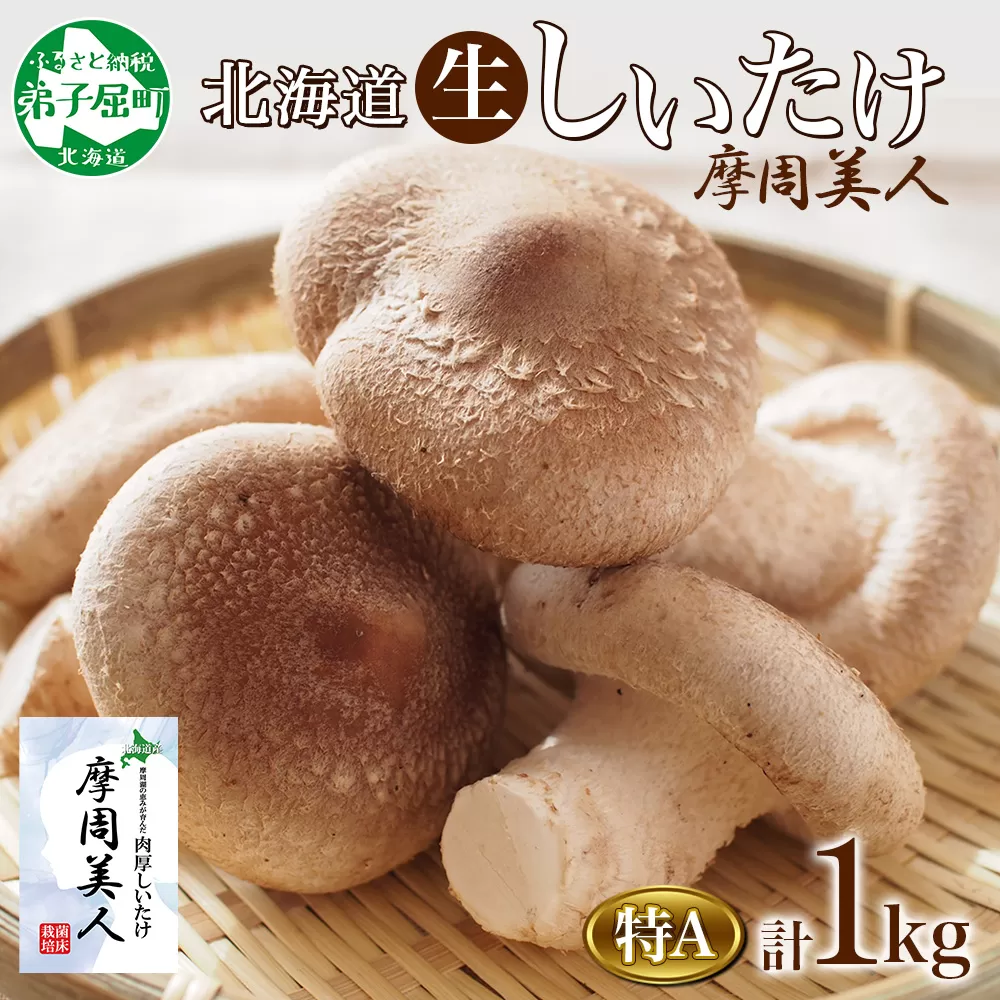 1949. しいたけ 特A 秀品 4パック 計1kg 摩周美人 シイタケ 椎茸 生しいたけ きのこ キノコ 菌床栽培 大粒 肉厚 BBQ バーベキュー 送料無料 北海道 弟子屈町