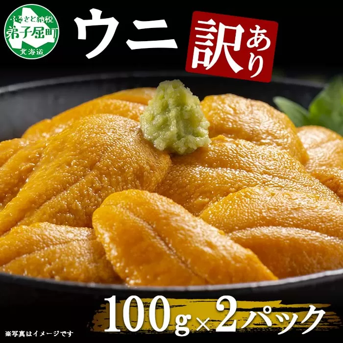 1259.訳あり うに チリ産 冷凍 200g ワケあり ウニ 雲丹 不揃い B級品 うに わけ あり 海鮮 4人前 丼 刺身 自宅用 送料無料 北海道 弟子屈町