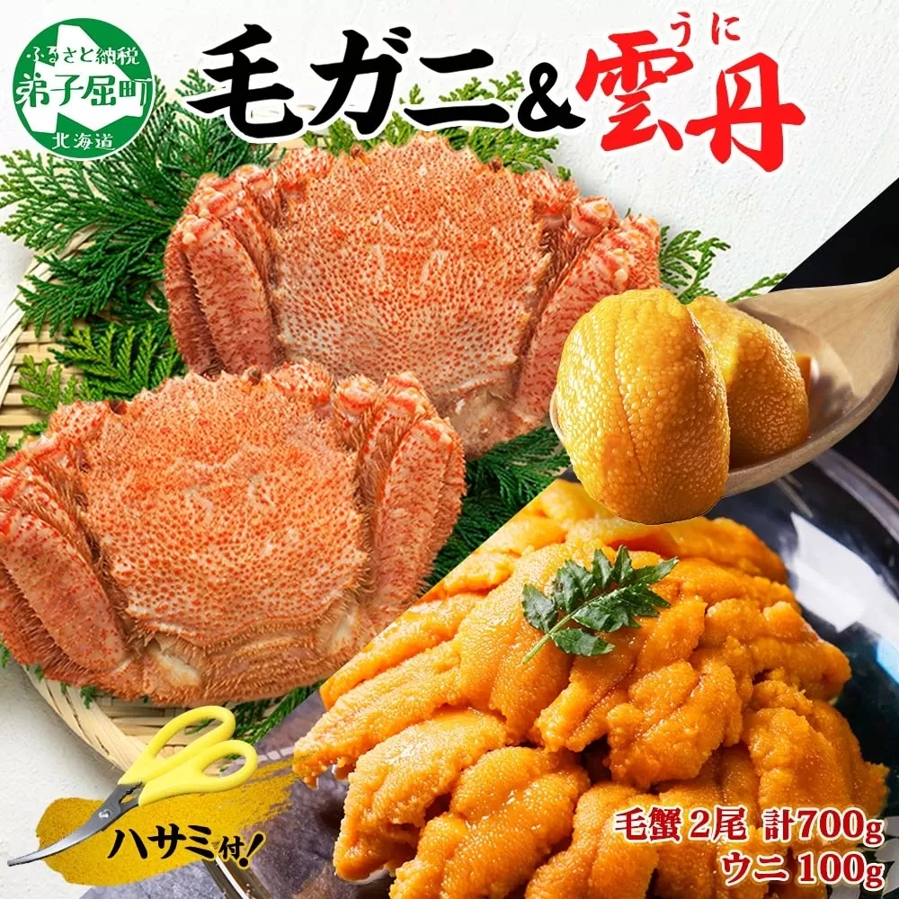 2460. 毛蟹 2尾 計700g前後 うに チリ産 冷凍 100g 専用ハサミ・食べ方ガイド付き 毛ガニ 毛がに 蟹 カニ かに 蟹肉 カニ味噌  ウニ 雲丹 海鮮 ボイル 北海道 弟子屈町