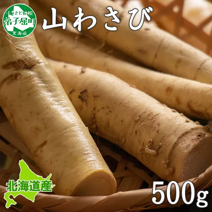 3166. 天然 山わさび 500g前後 産地直送 薬味 肉 BBQ バーベキュー 焼き肉 送料無料 北海道 弟子屈町