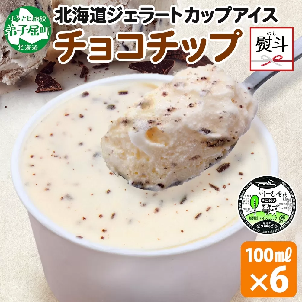 2347. 無地熨斗 くりーむ童話 カップアイス チョコチップ 100ml×6個 アイスクリーム アイス スイーツ 牛乳 ミルク 贈り物 gift ギフト プレゼント 詰め合わせ 送料無料 北海道 弟子屈町