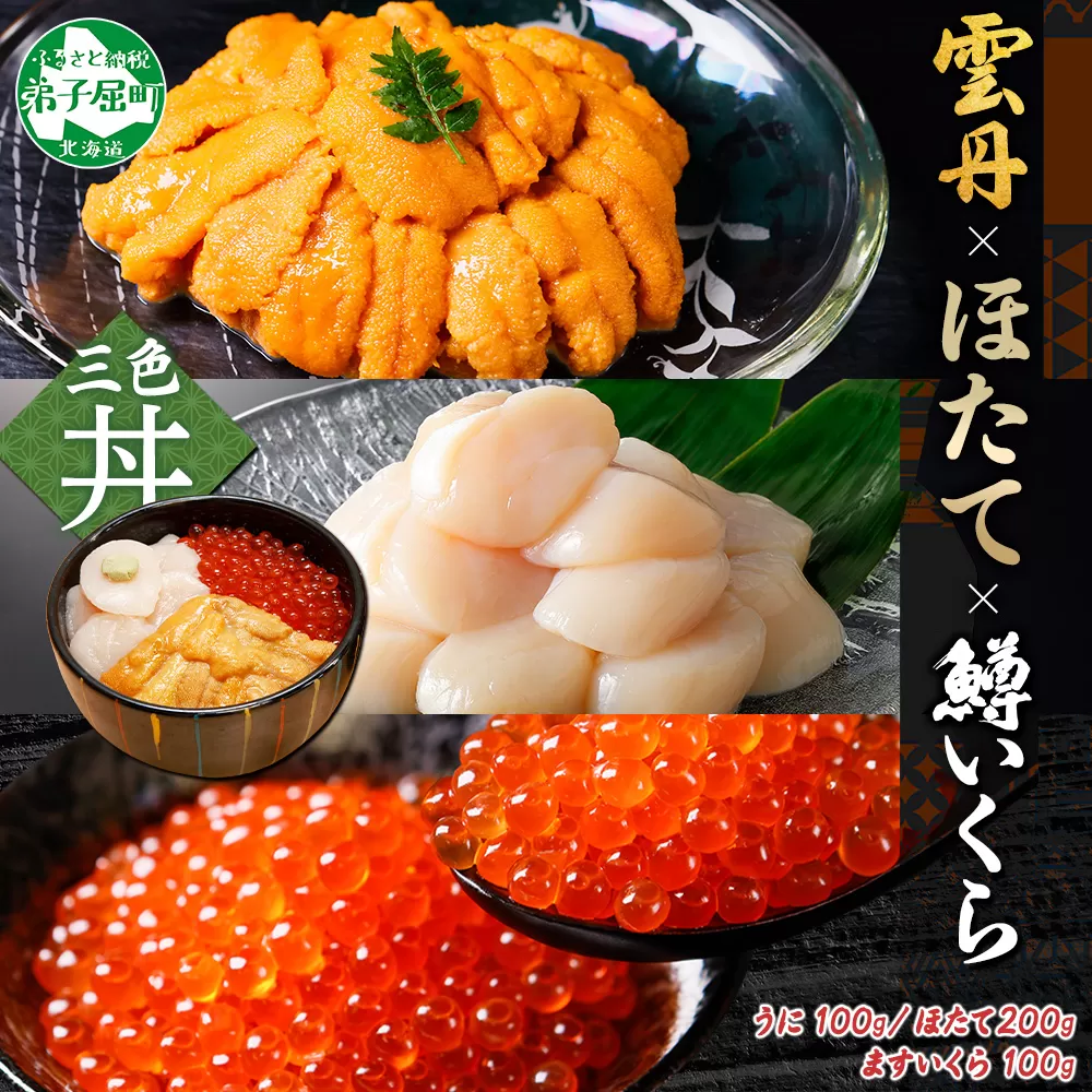 3430. 雲丹 100g ホタテ 200g 鱒いくら醤油漬け 100g 海鮮3種セット チリ産 ウニ ミョウバン不使用 うに  鱒いくら いくら 冷凍 イクラ 鱒 ほたて 生ほたて 北海道産 帆立 冷凍 海鮮 海鮮丼 刺身 つまみ おつまみ おかず ごはんのおとも 北海道 弟子屈町