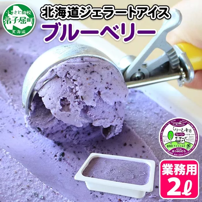 604.アイスクリーム ブルーベリー ジェラート 業務用 2リットル 2L アイス 大容量 手作り 北海道 弟子屈町