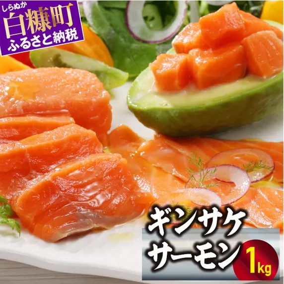ギンサケサーモン【1kg】 小分け 下処理不要 絶品の「塩締め」レシピ ふるさと納税 海鮮 サーモン 鮭 魚 銀鮭 刺身 生食用 さけ サケ ふるさと ランキング 人気 魚介類 魚介 北海道 白糠町