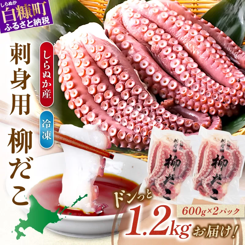 しらぬか産刺身用柳だこ【600g×2個入り】