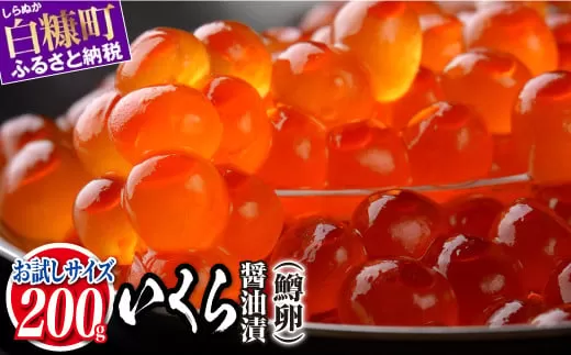 いくら醤油漬 鱒卵 200g いくら イクラ 小分け イクラ醤油漬 いくら醤油漬け イクラ醤油漬け ikura 醤油いくら 醤油イクラ 冷凍いくら 冷凍イクラ 人気いくら 人気イクラ 大人気いくら人気 ふるさと納税 北海道 白糠町