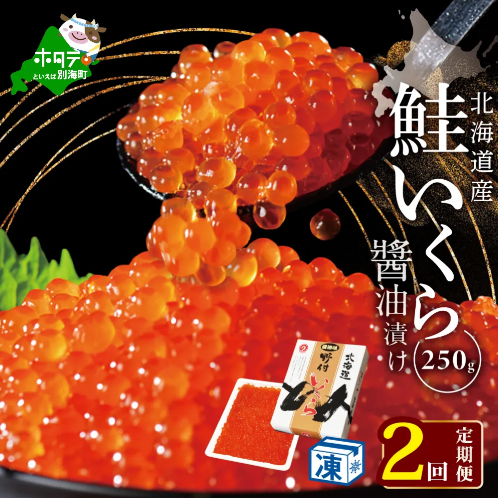 計500g【250g×1パック 2回 お届け】 2ヵ月 定期便 漁協 直送！本場「北海道」 いくら 醤油漬け【NKM02NQ07】（野付漁業協同組合）( いくら いくら醤油漬け いくら醤油漬 醤油いくら 鮭いくら 国産いくら 北海道産いくら 地場産いくら 道産いくら 別海町 ふるさと納税 ふるさと ikura )
