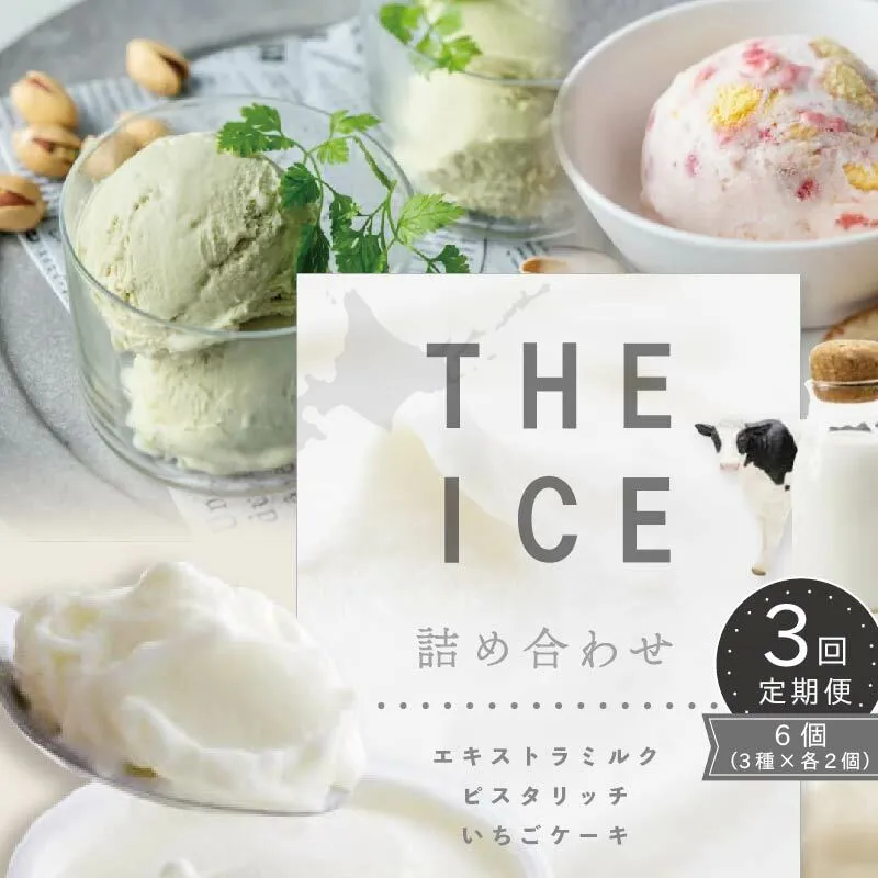 【毎月定期便】【THE ICE】3種詰合せ6個セット×3ヵ月定期便 【be003-1072-100-3】（J FARM AMUSE 株式会社）