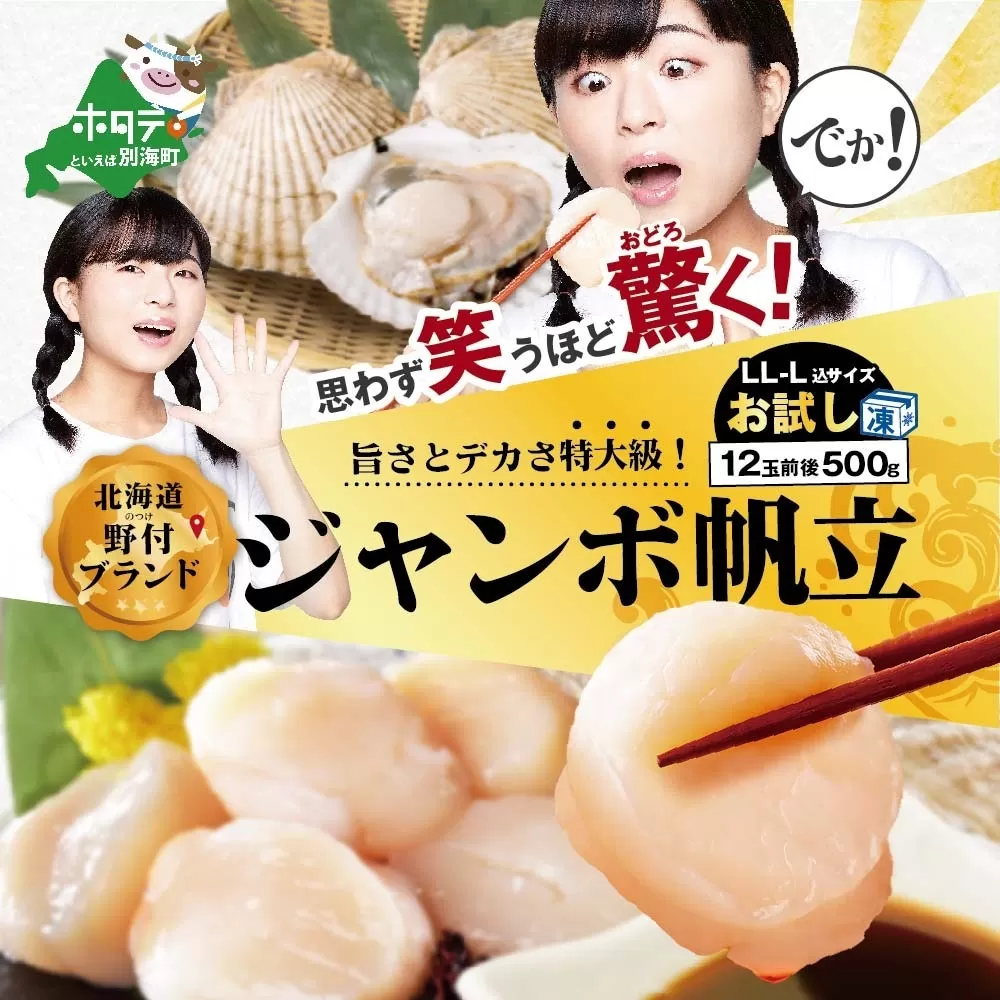 思わず笑うほど驚くお試しジャンボホタテ500g（ほたて ホタテ 帆立 貝柱 ホタテ貝柱 大玉 大粒 北海道 別海 野付 ふるさと納税）