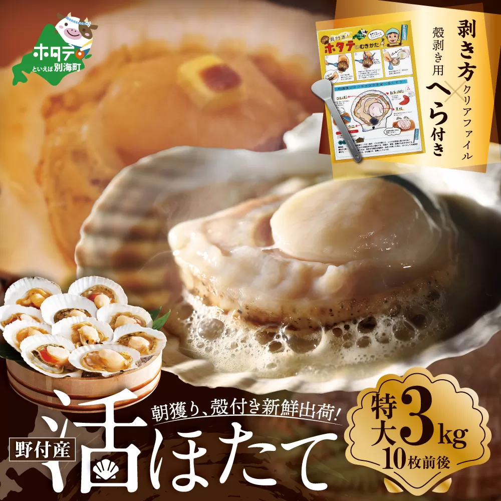 【緊急支援品】 朝どり 新鮮出荷 活ホタテ 特大 3kg前後(10枚前後)　北海道 野付産 食べ応え抜群【UY0000013】（ほたて ホタテ 帆立 貝柱 ホタテ貝柱 大玉 大粒 北海道 別海 野付 ふるさと納税）