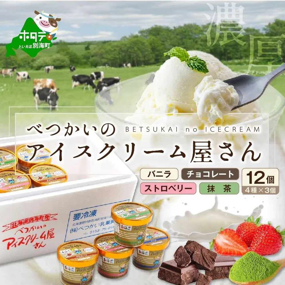 アイスクリーム12個(120ml×12）（A-07）（ 北海道アイス 北海道産アイス アイス アイススイーツ アイスクリーム 北海道産アイスクリーム 道産アイス 道産アイスクリーム ギフト 詰合せ 詰め合わせ ふるさと納税 ）