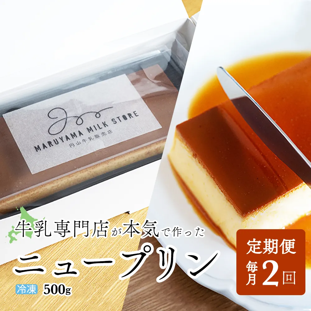 【定期便】濃厚プリン　New Pudding（ニュープディング）（500g×1本）×2ヶ月【be152-0931-100-2】