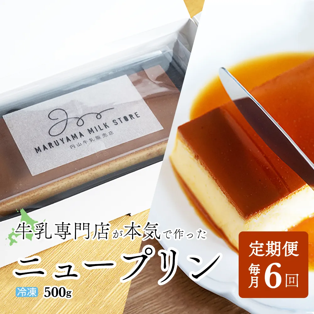 【定期便】濃厚プリン　New Pudding（ニュープディング）（500g×1本）×6ヶ月【be152-0931-100-6】