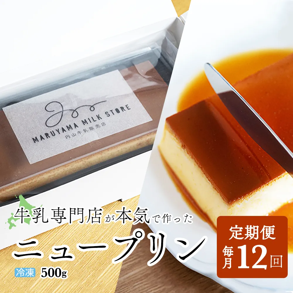 【定期便】濃厚プリン　New Pudding（ニュープディング）（500g×1本）×12ヶ月【be152-0931-100-12】