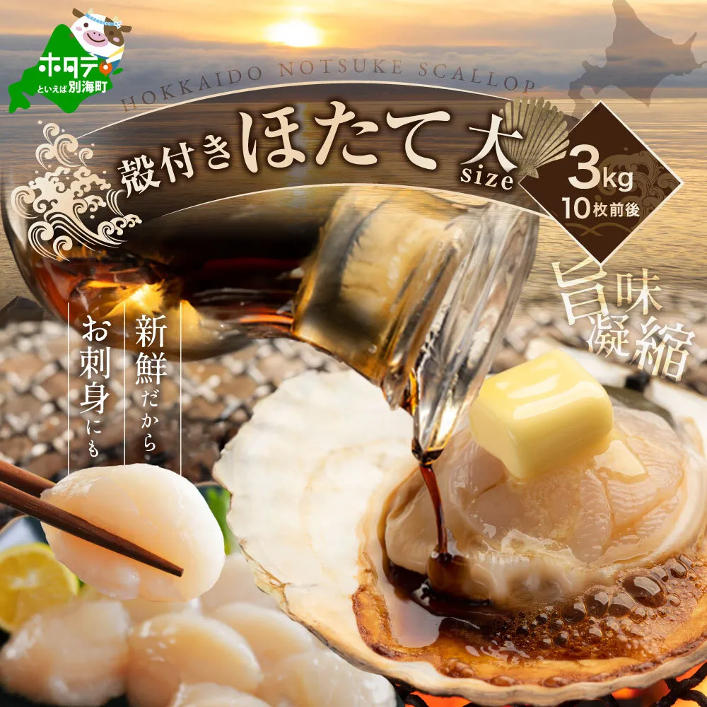 北海道野付産活ホタテ 3kg（10枚前後）