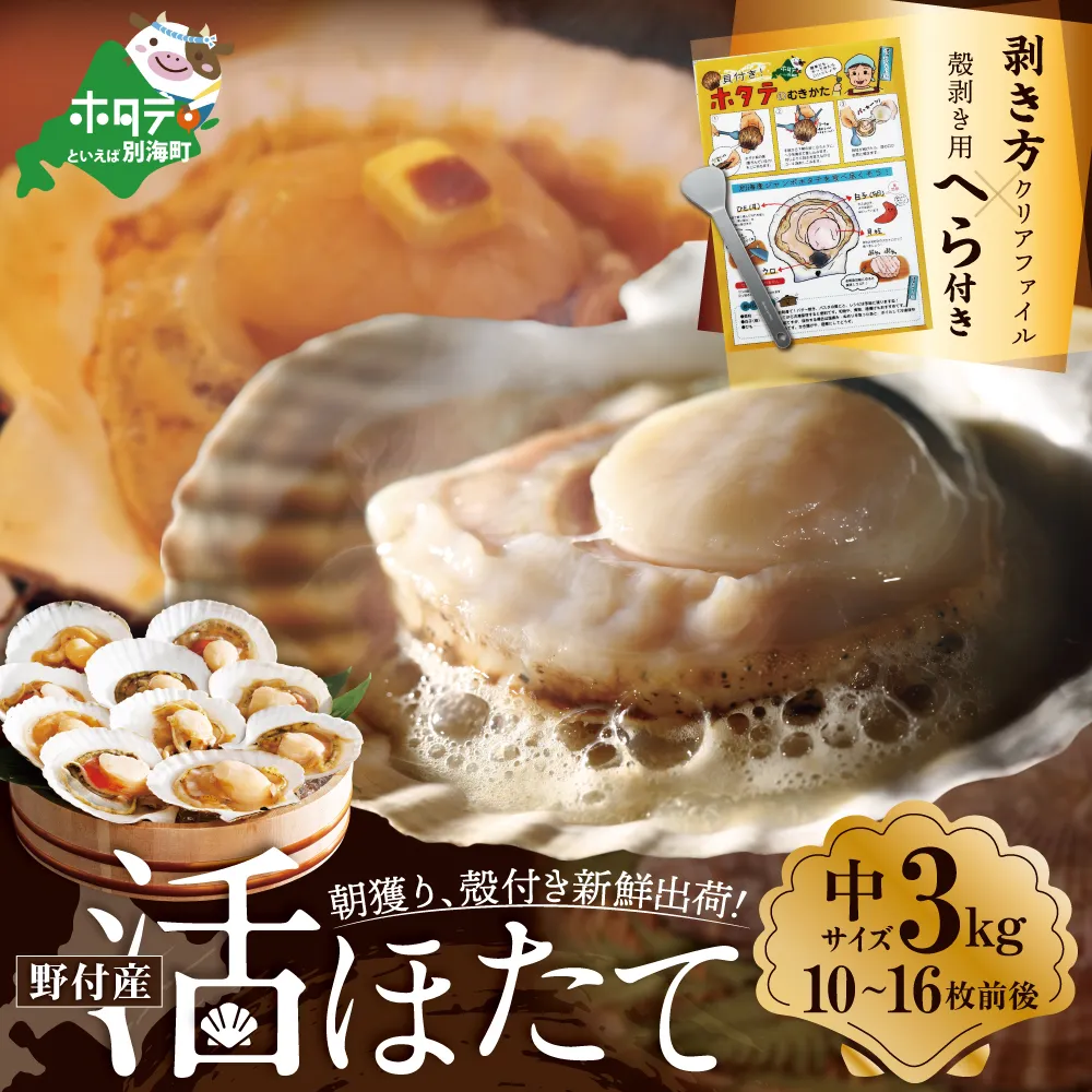 朝どり 新鮮出荷 活ホタテ 中サイズ 3kg活ほたて【UY0000015】