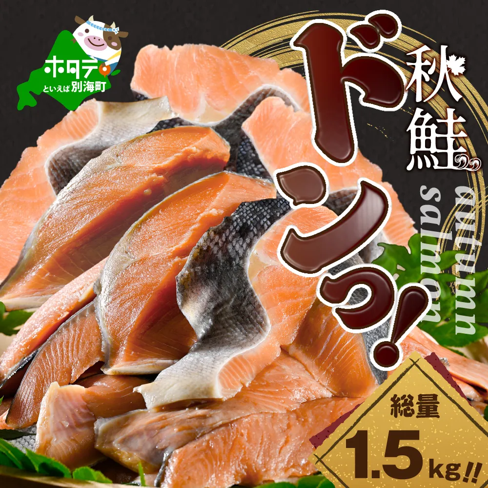 【訳あり】秋鮭ドンっ！無塩 秋鮭 切り身 1.5kg 【BT000PB05】