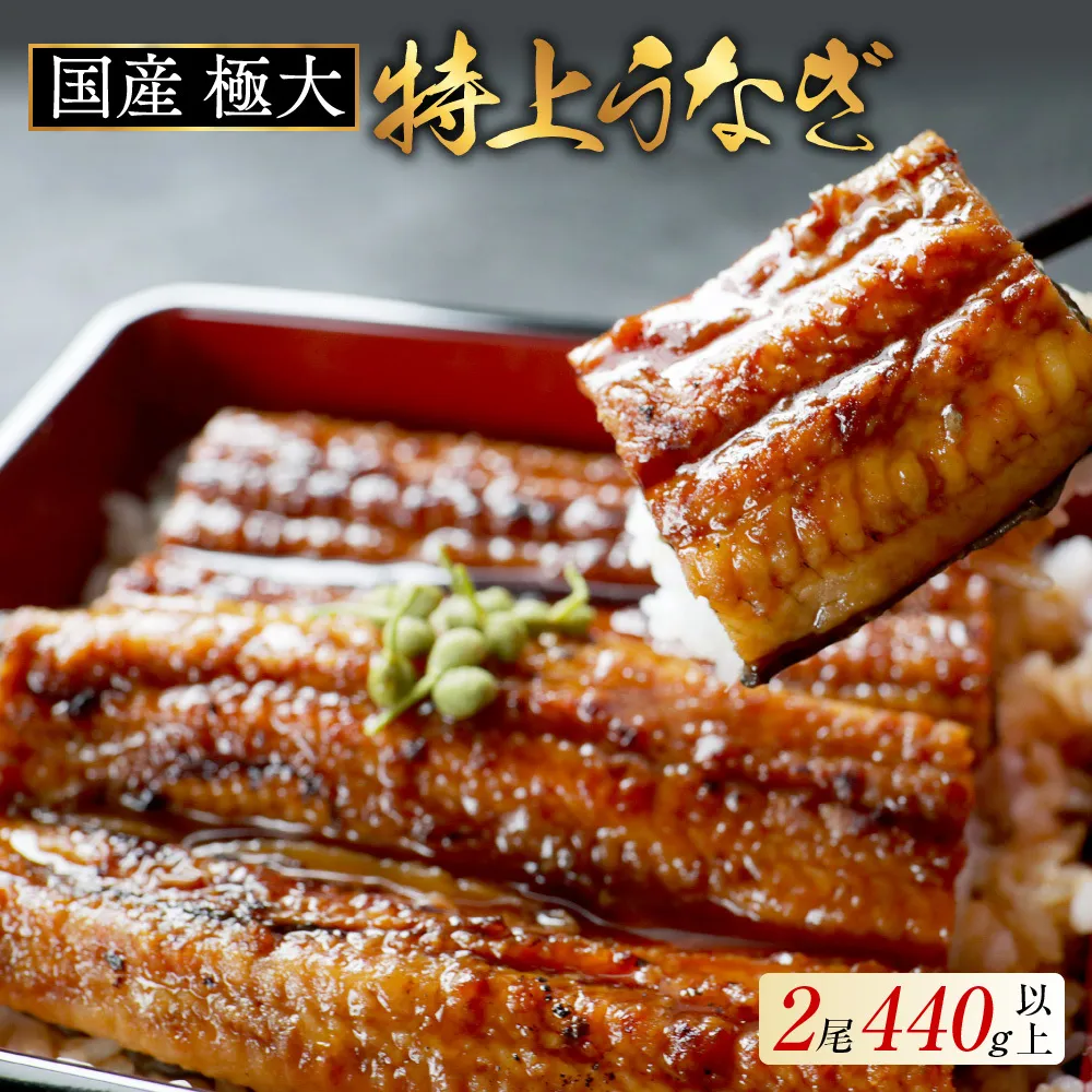 国産 極大 特上うなぎ(220g×2尾)
